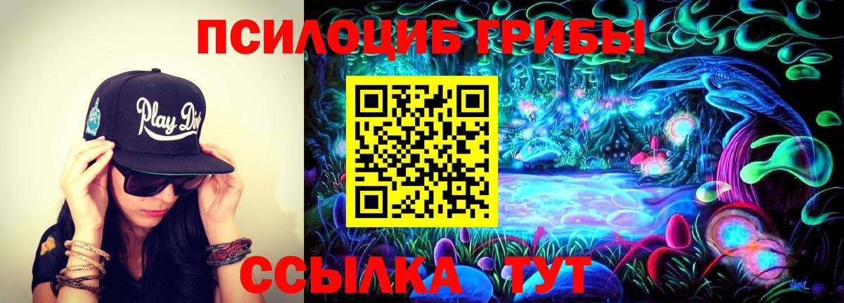 Псилоцибиновые грибы Cubensis Сланцы